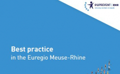 Vademecum „Crossing borders in Health&quot;