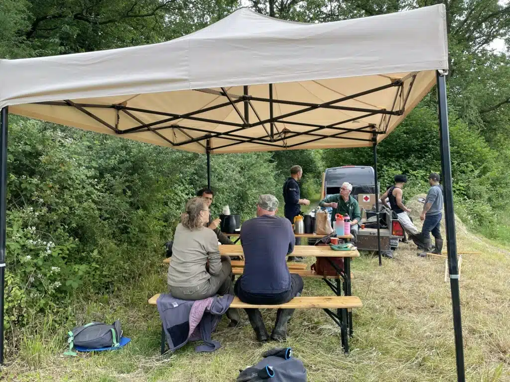 Trinational action day against Himalayan balsam, Geul catchment area, photo 4