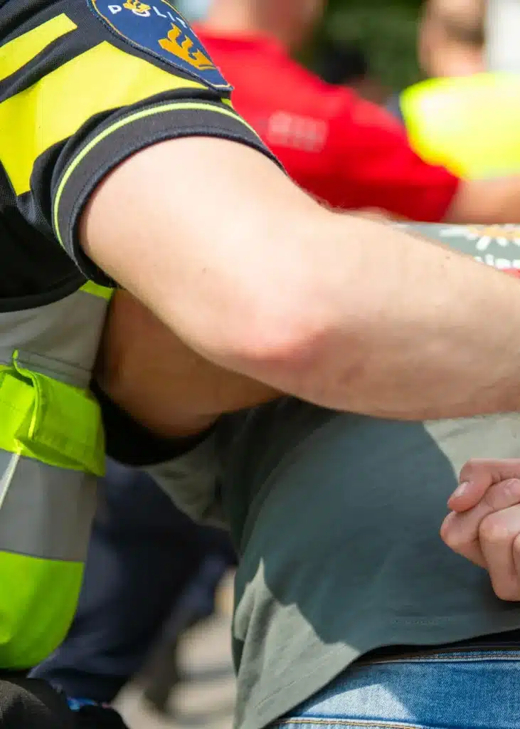 Cross-border police check